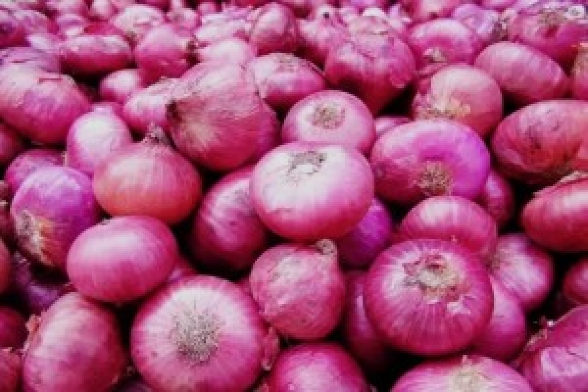 Onions from Filippine